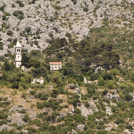 Apartments Primorac بوداكا المظهر الخارجي الصورة